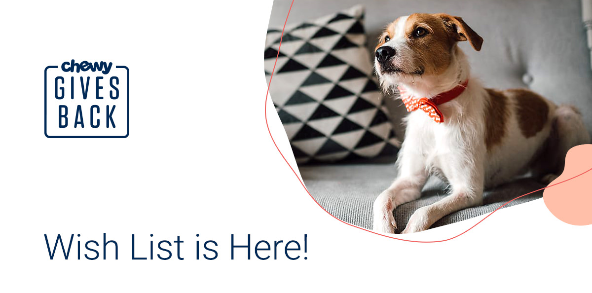 Chewy Gives Back - Wish List is Here!