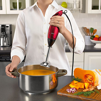 Shop Immersion Blenders